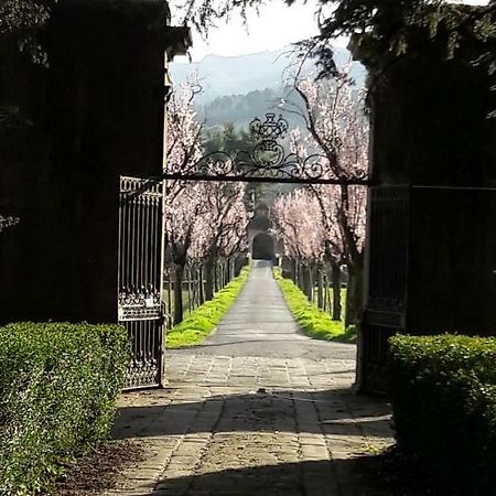 Ai Chiosi Affittacamere Pontremoli Buitenkant foto
