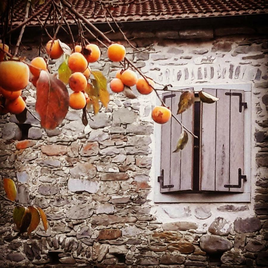 Ai Chiosi Affittacamere Pontremoli Buitenkant foto